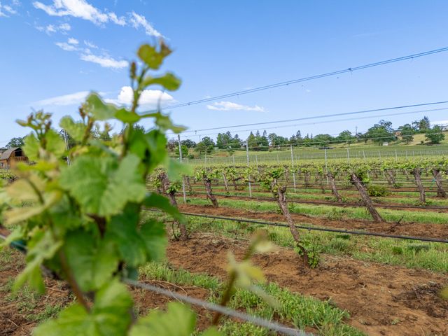 2871 Griffin Creek Road, Medford, OR 97501