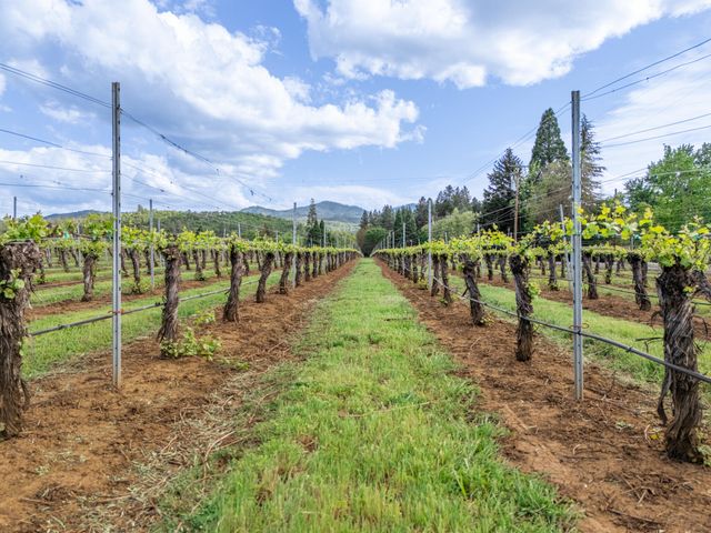 2871 Griffin Creek Road, Medford, OR 97501