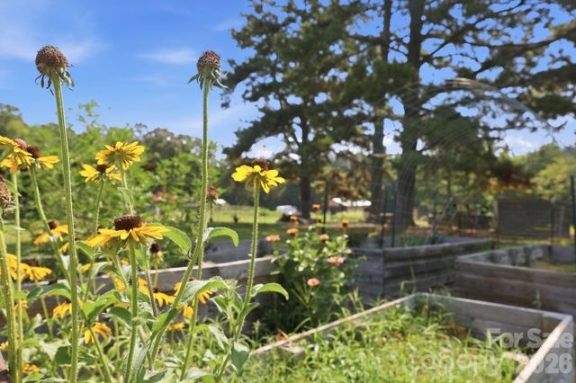 24654 Matton Grove Church Road, Gold Hill, NC 28071