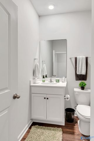 13088 Golden Hay Circle NW, Madison, AL 35756