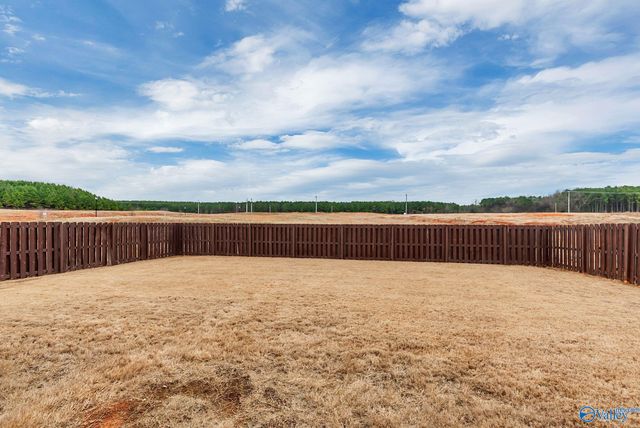 13088 Golden Hay Circle NW, Madison, AL 35756