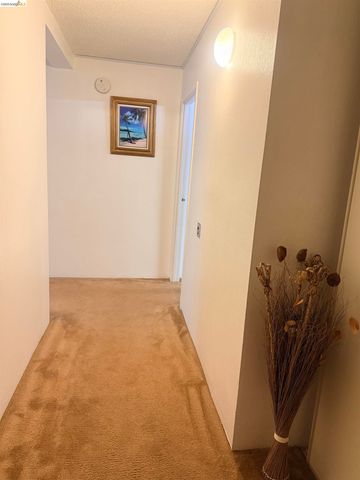 555 Pierce St 1021, Albany, CA 94706