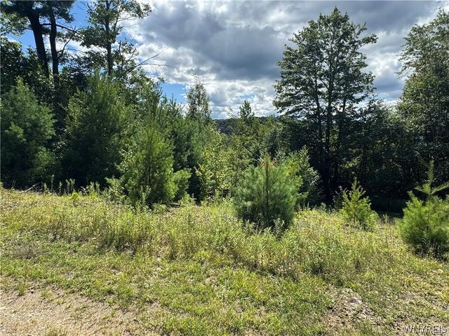 5400 County Road 38, Alma, NY 14708