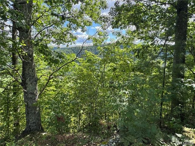 5400 County Road 38, Alma, NY 14708