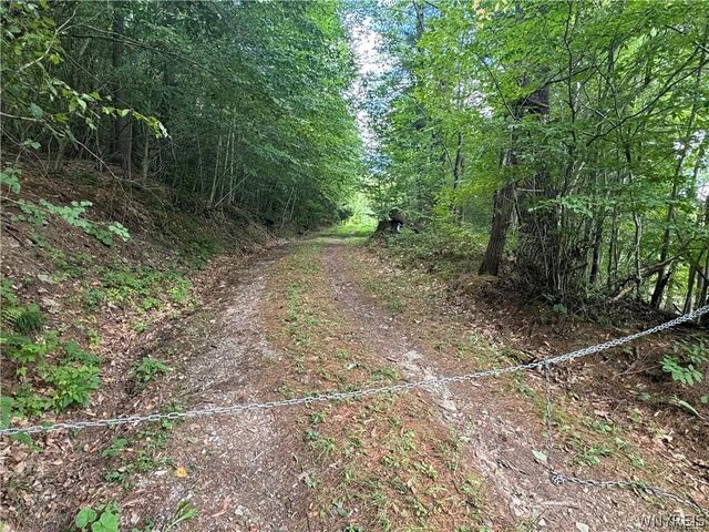 5400 County Road 38, Alma, NY 14708