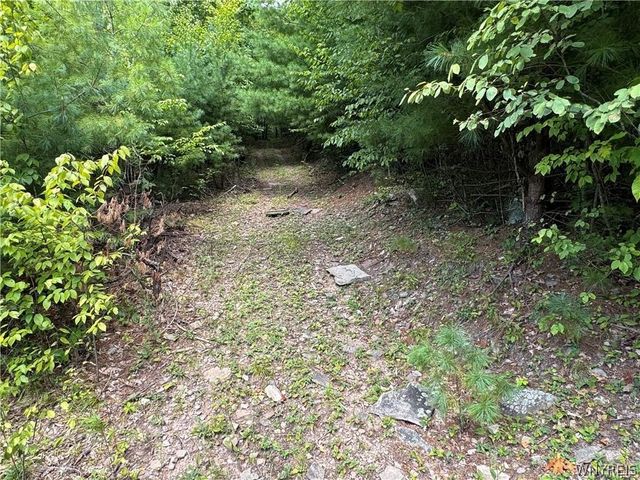 5400 County Road 38, Alma, NY 14708