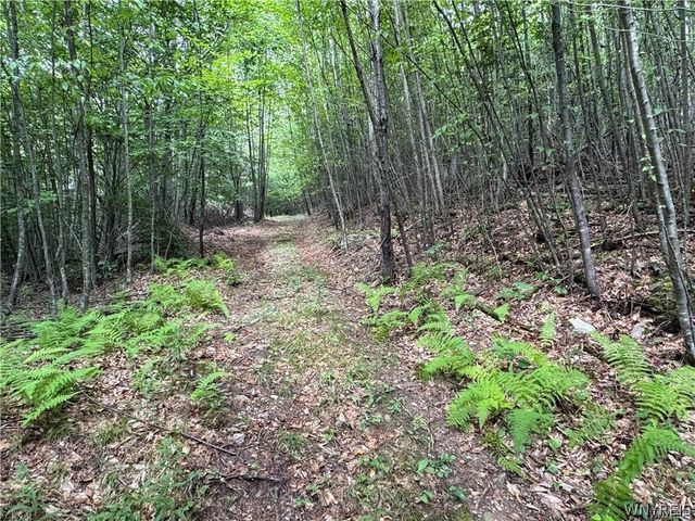 5400 County Road 38, Alma, NY 14708