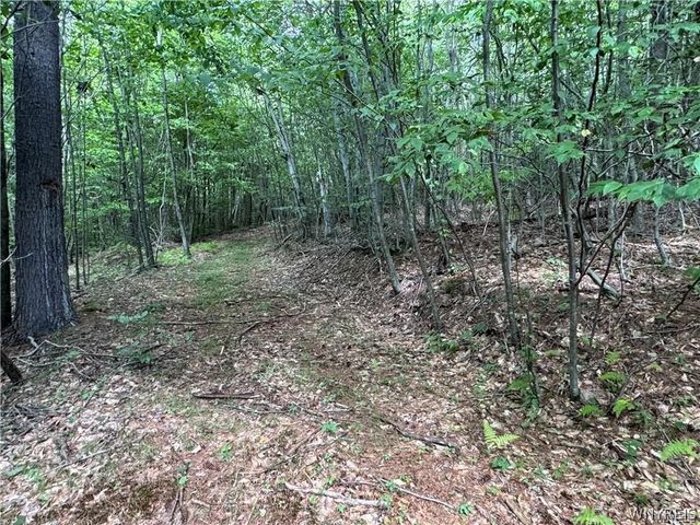 5400 County Road 38, Alma, NY 14708