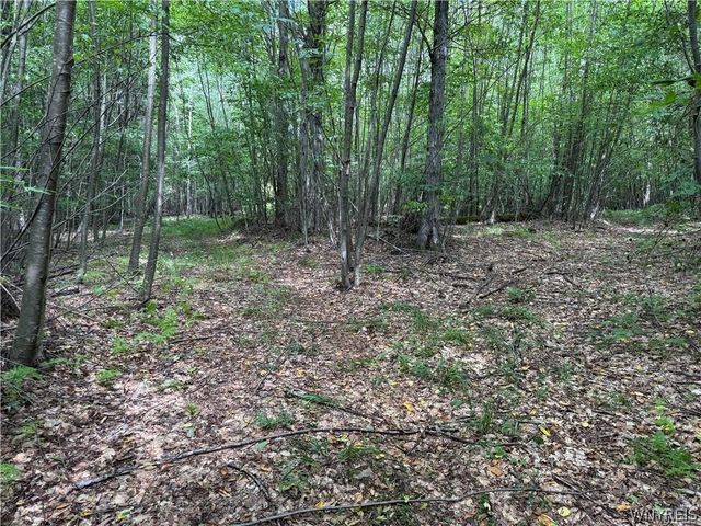 5400 County Road 38, Alma, NY 14708