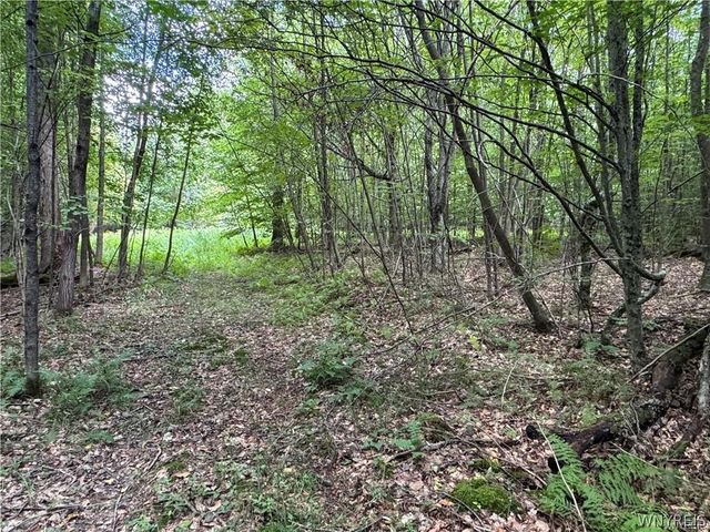 5400 County Road 38, Alma, NY 14708