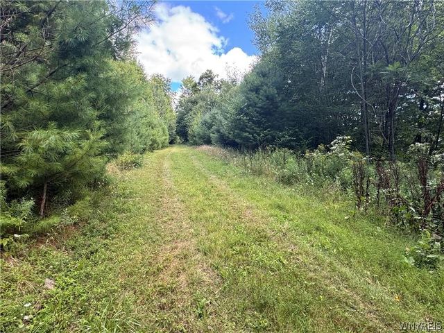 5400 County Road 38, Alma, NY 14708