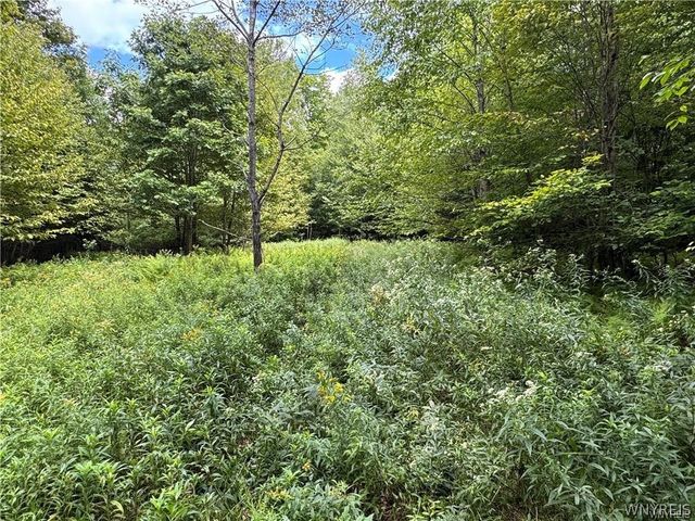 5400 County Road 38, Alma, NY 14708