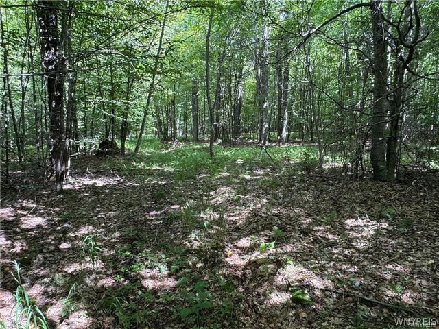 5400 County Road 38, Alma, NY 14708