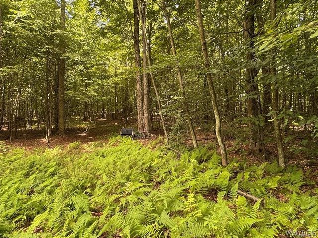 5400 County Road 38, Alma, NY 14708