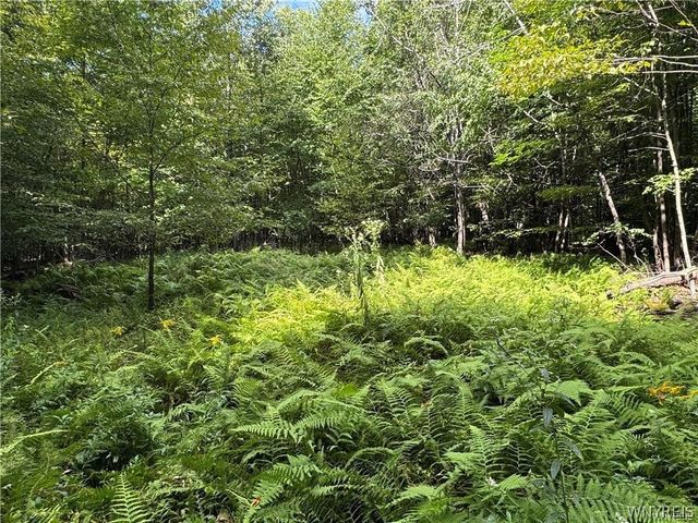 5400 County Road 38, Alma, NY 14708