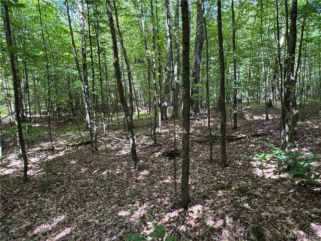 5400 County Road 38, Alma, NY 14708