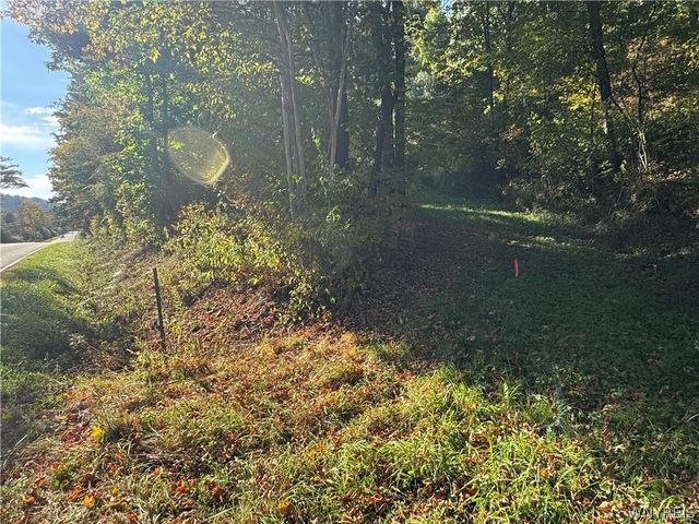 5400 County Road 38, Alma, NY 14708