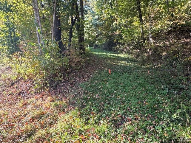 5400 County Road 38, Alma, NY 14708
