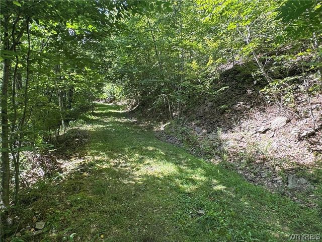5400 County Road 38, Alma, NY 14708