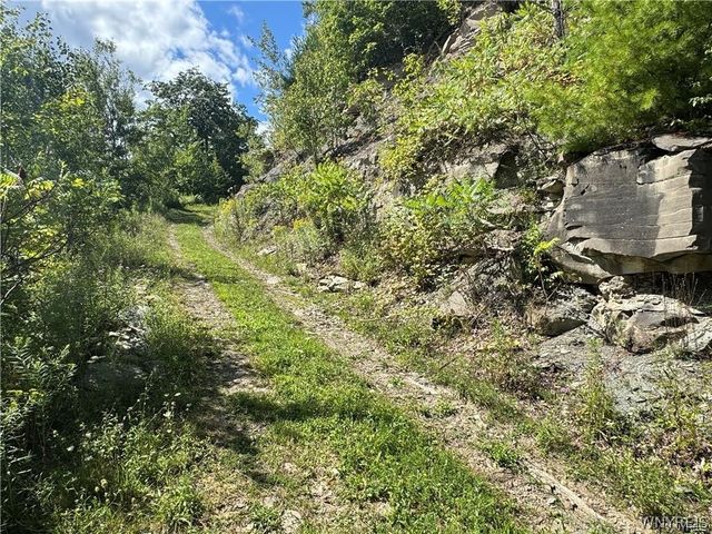 5400 County Road 38, Alma, NY 14708