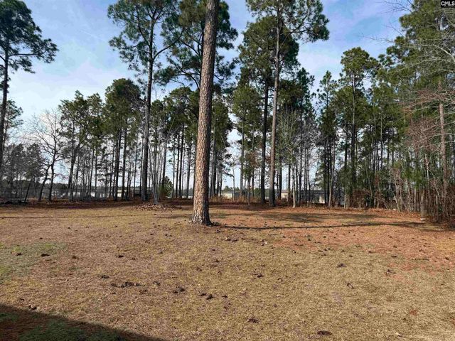 237 Shadow Dale Drive, Gaston, SC 29053