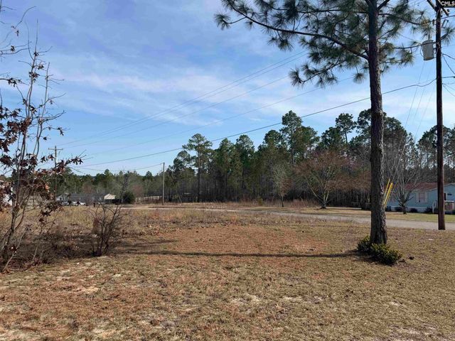 237 Shadow Dale Drive, Gaston, SC 29053