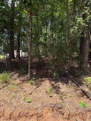 0 Non Such Road, Livingston, TX 77351