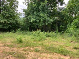 O Orme Mountain Road, South Pittsburg, TN 37380