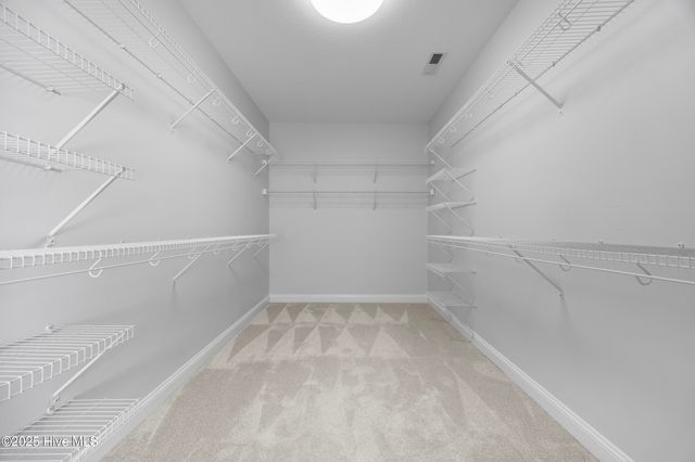 201 Cypress Branch Way, Jacksonville, NC 28540