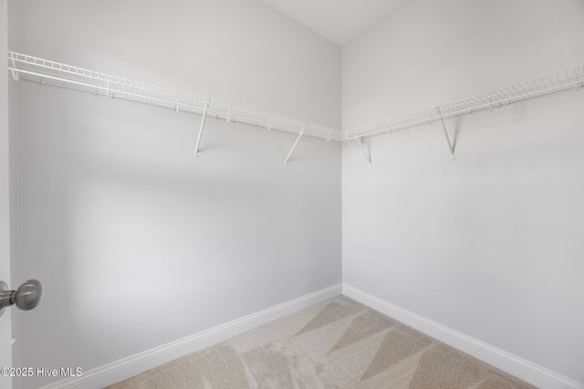 201 Cypress Branch Way, Jacksonville, NC 28540