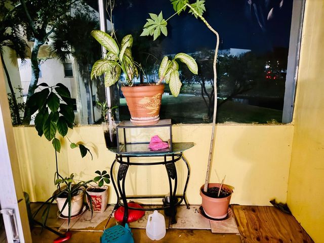 8460 Sunrise Lakes Boulevard 202, Sunrise, FL 33322