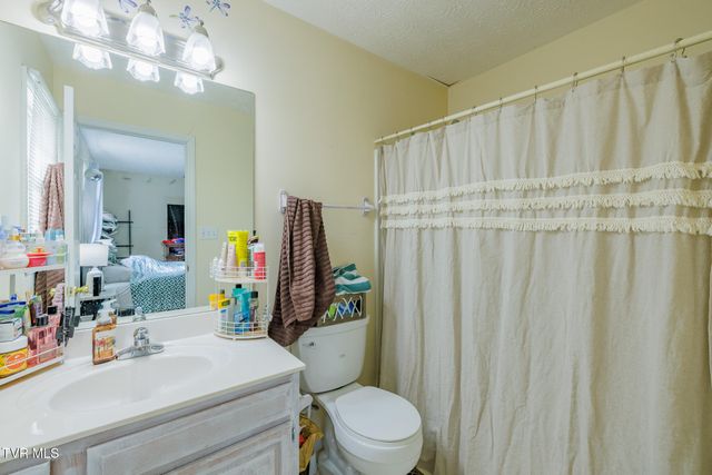 149 Ashley Dr, Mount Carmel, TN 37645