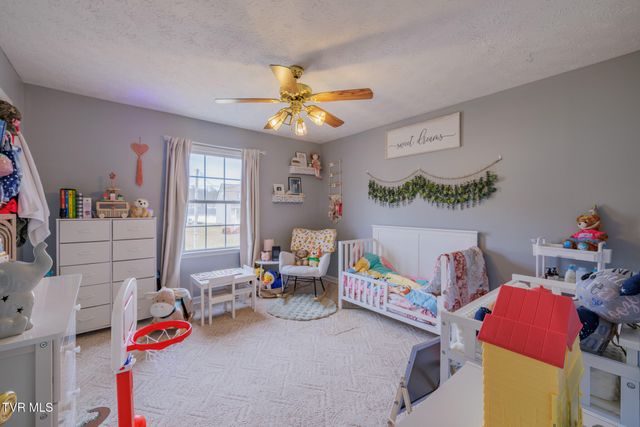 149 Ashley Dr, Mount Carmel, TN 37645