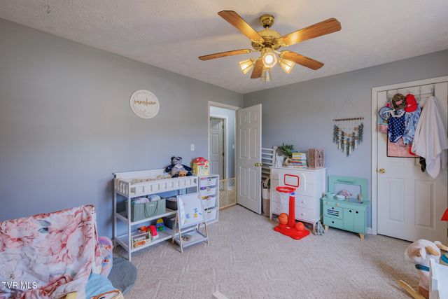 149 Ashley Dr, Mount Carmel, TN 37645