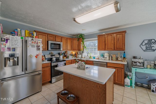 149 Ashley Dr, Mount Carmel, TN 37645