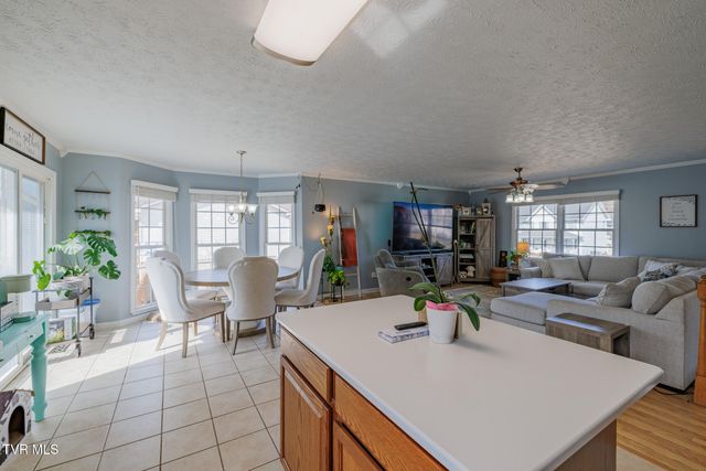 149 Ashley Dr, Mount Carmel, TN 37645