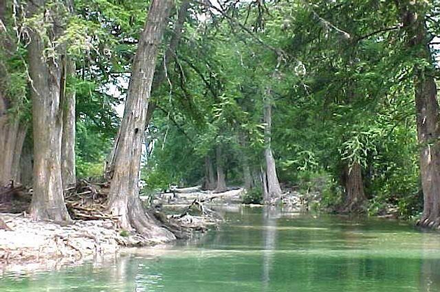 834 Alex Auld, Leakey, TX 78873