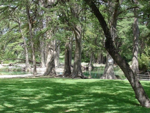 834 Alex Auld, Leakey, TX 78873