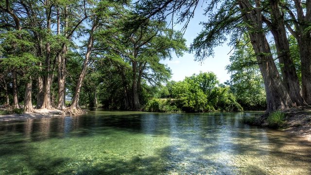 834 Alex Auld, Leakey, TX 78873