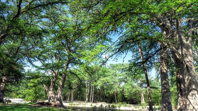 834 Alex Auld, Leakey, TX 78873