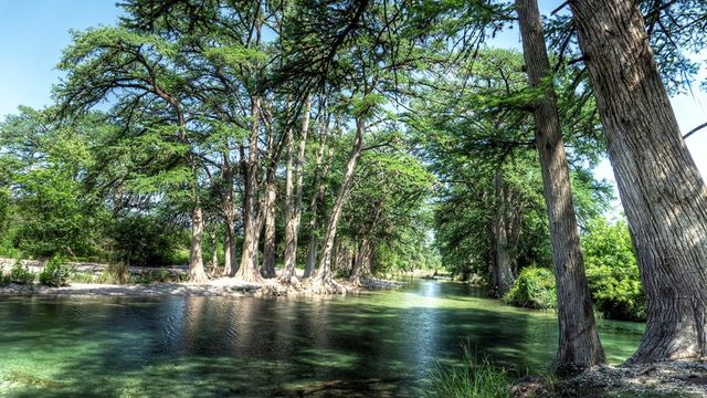 834 Alex Auld, Leakey, TX 78873