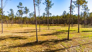 0019 Big Buck Drive, Moscow, TX 75960