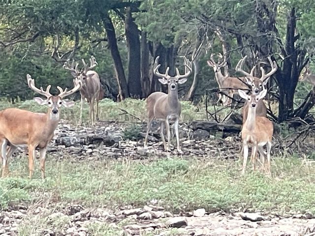 7118 FM 219, Clifton, TX 76634