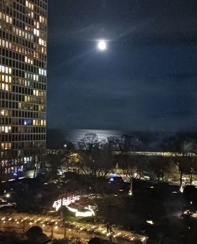 5050 S East End Avenue 9C, Chicago, IL 60615