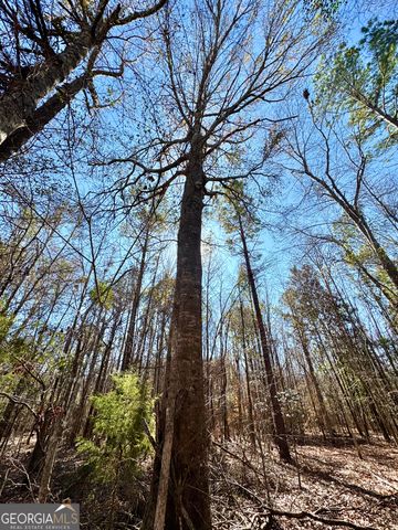1 Cross Cedar Road, Wrightsville, GA 31096
