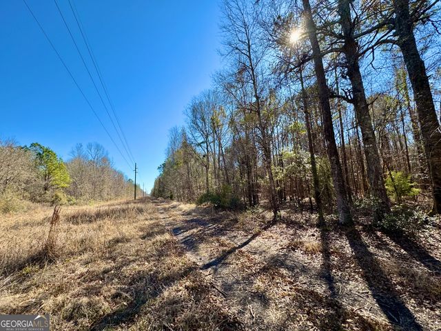 1 Cross Cedar Road, Wrightsville, GA 31096