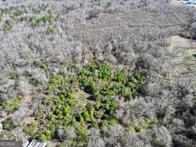 1 Cross Cedar Road, Wrightsville, GA 31096
