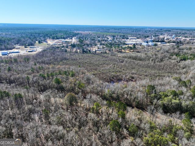1 Cross Cedar Road, Wrightsville, GA 31096