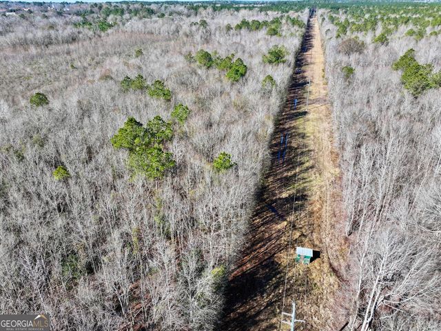 1 Cross Cedar Road, Wrightsville, GA 31096