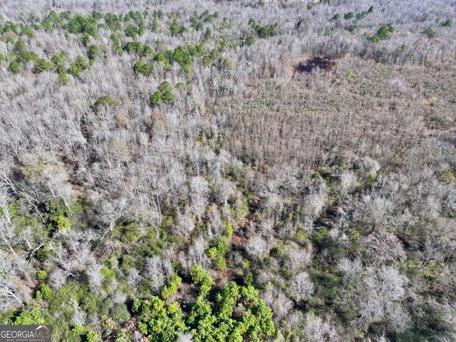 1 Cross Cedar Road, Wrightsville, GA 31096